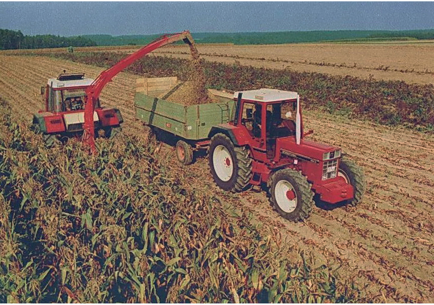 Schuco 450787800 - CASE 956 XL red 1:32 EAN: 4007864061877, at Ajckids.com, authorized Schuco dealer for the USA.