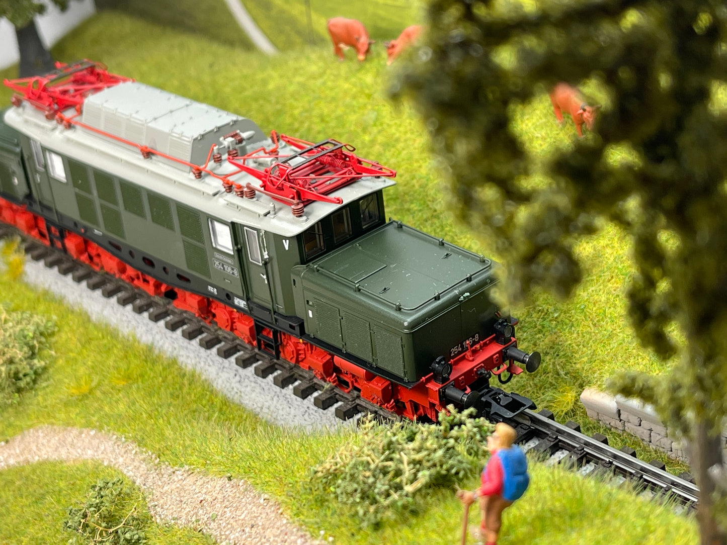 Marklin 39991 - Class 254 Electric Locomotive at Ajckids.com