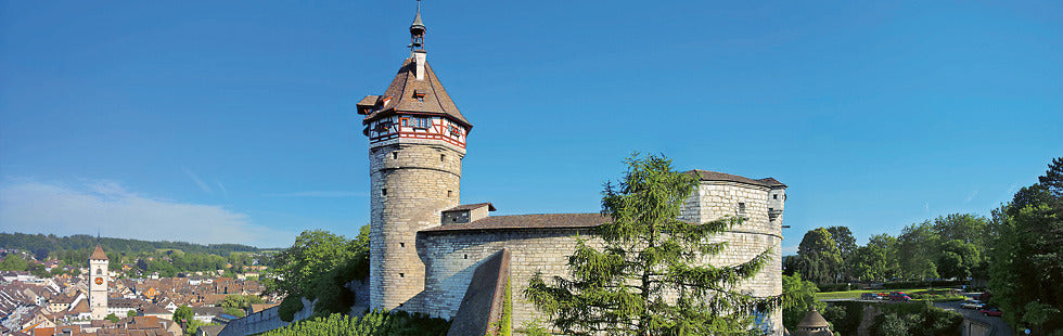 Marklin 39461 - Class 460 Electric Locomotive "Munot"