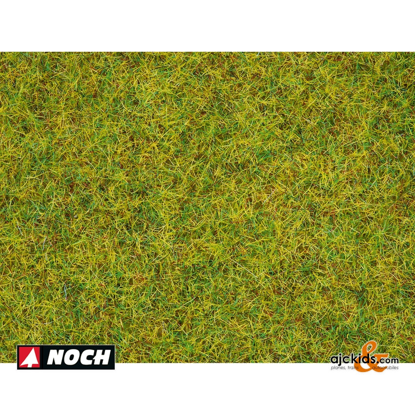 Noch 08151 - Grass Summer Meadow 120g