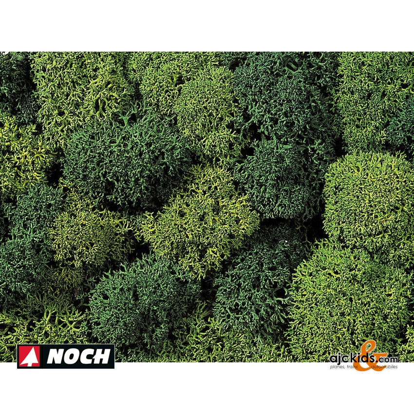 Noch 08621 - Lichen Light/Dark Green78g