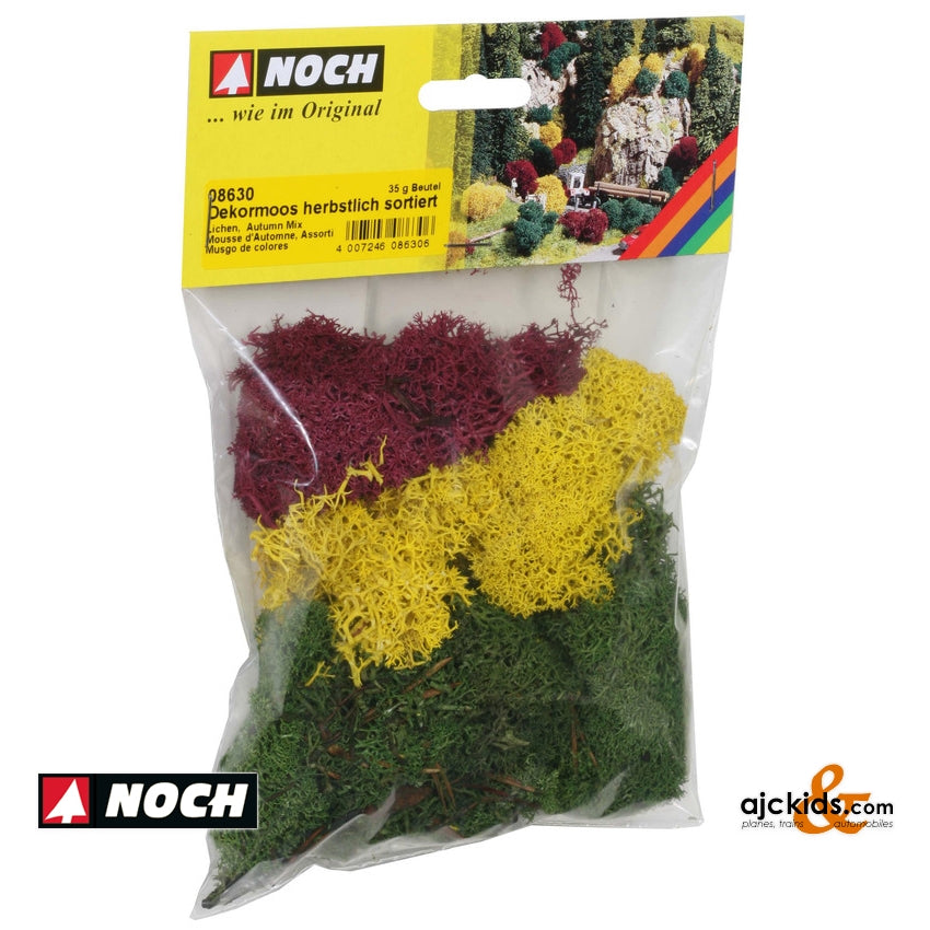 Noch 08630 - Lichen autumn assorted