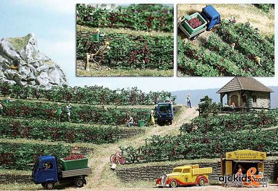 Busch 1200 - Grape Vine Field