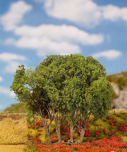 Faller 181203 - Privet 10cm