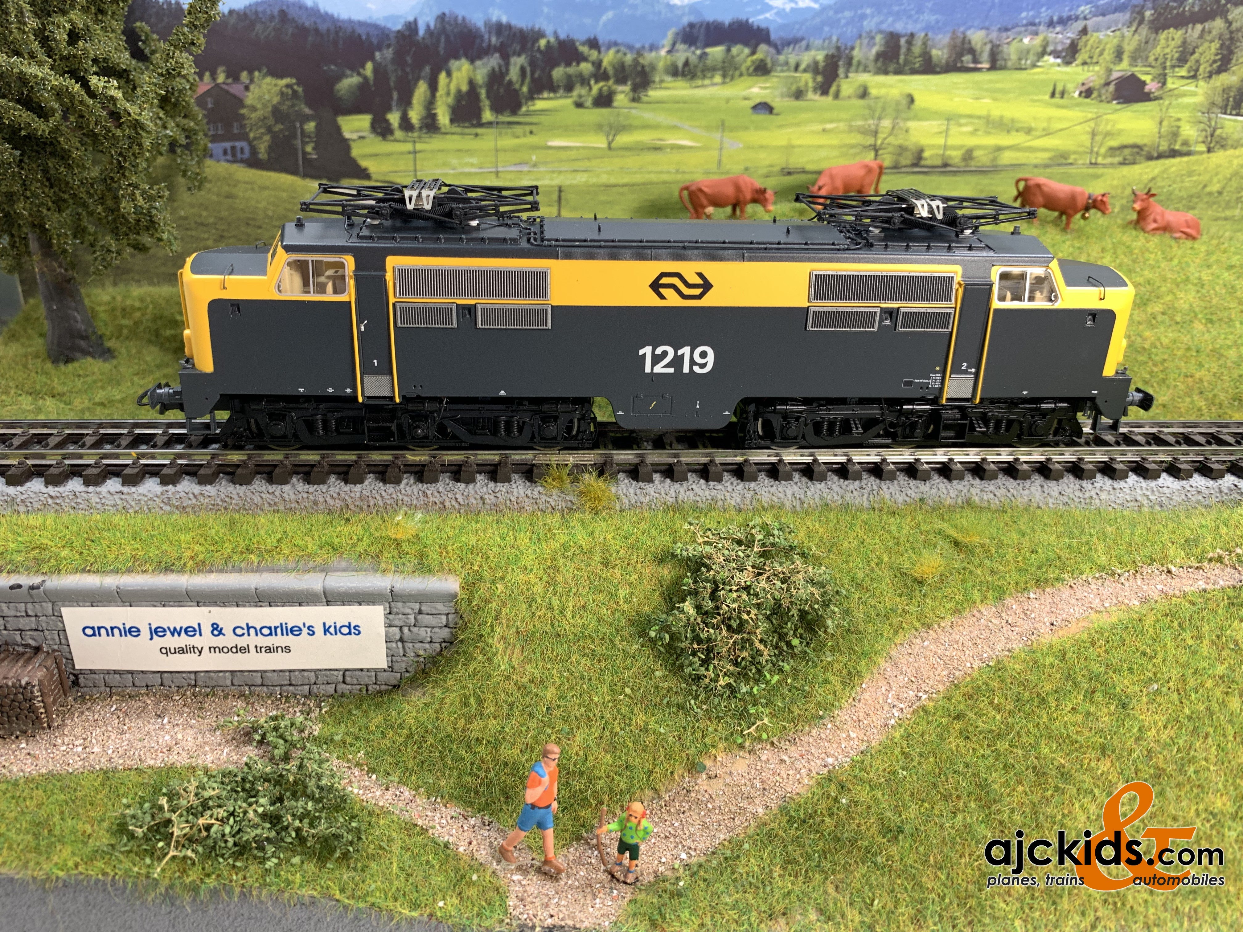 roco  Stamped Steel 1.0