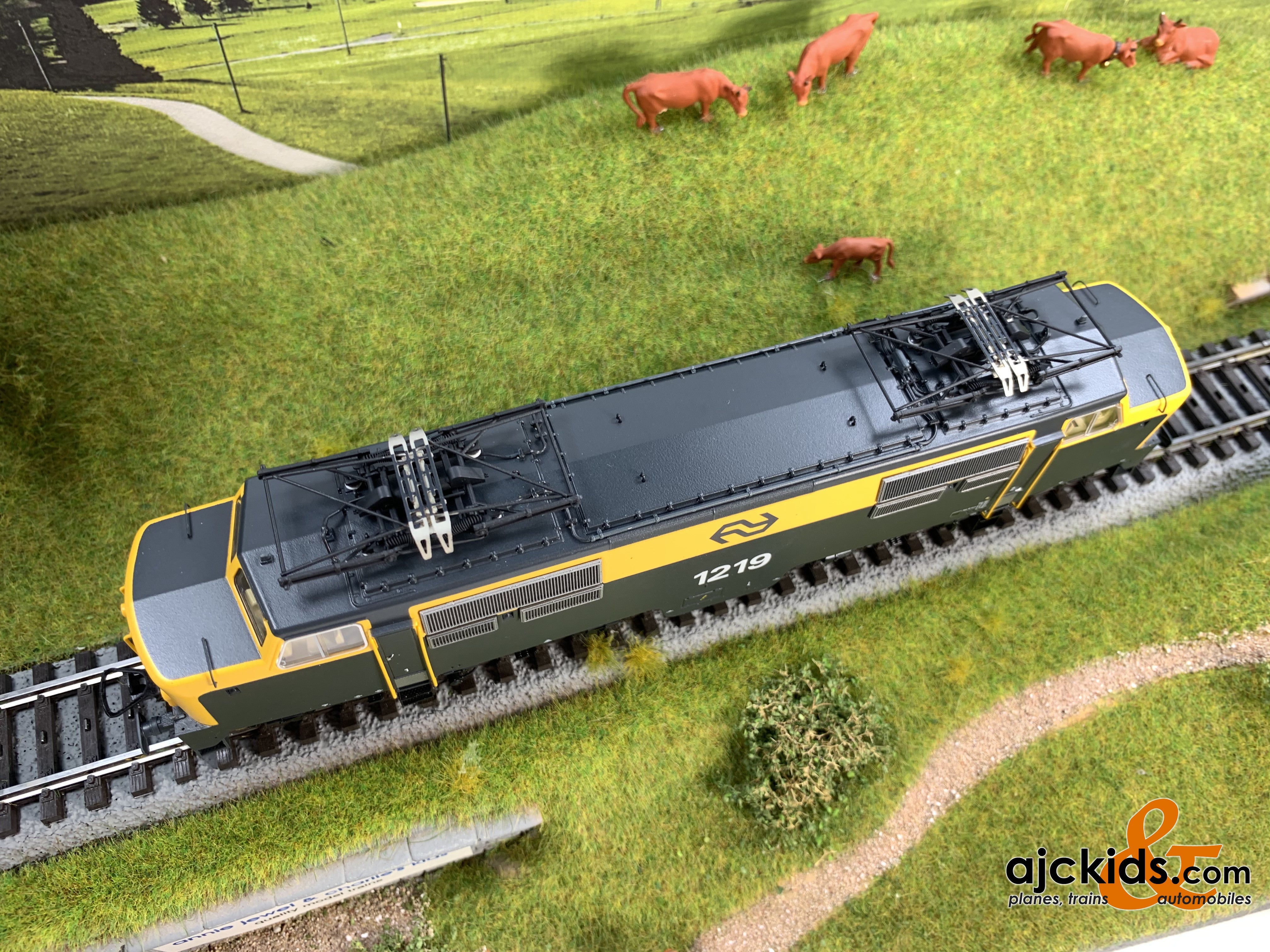 Roco 78675 - Electric Locomotive 1219 (Sound) at Ajckids.com