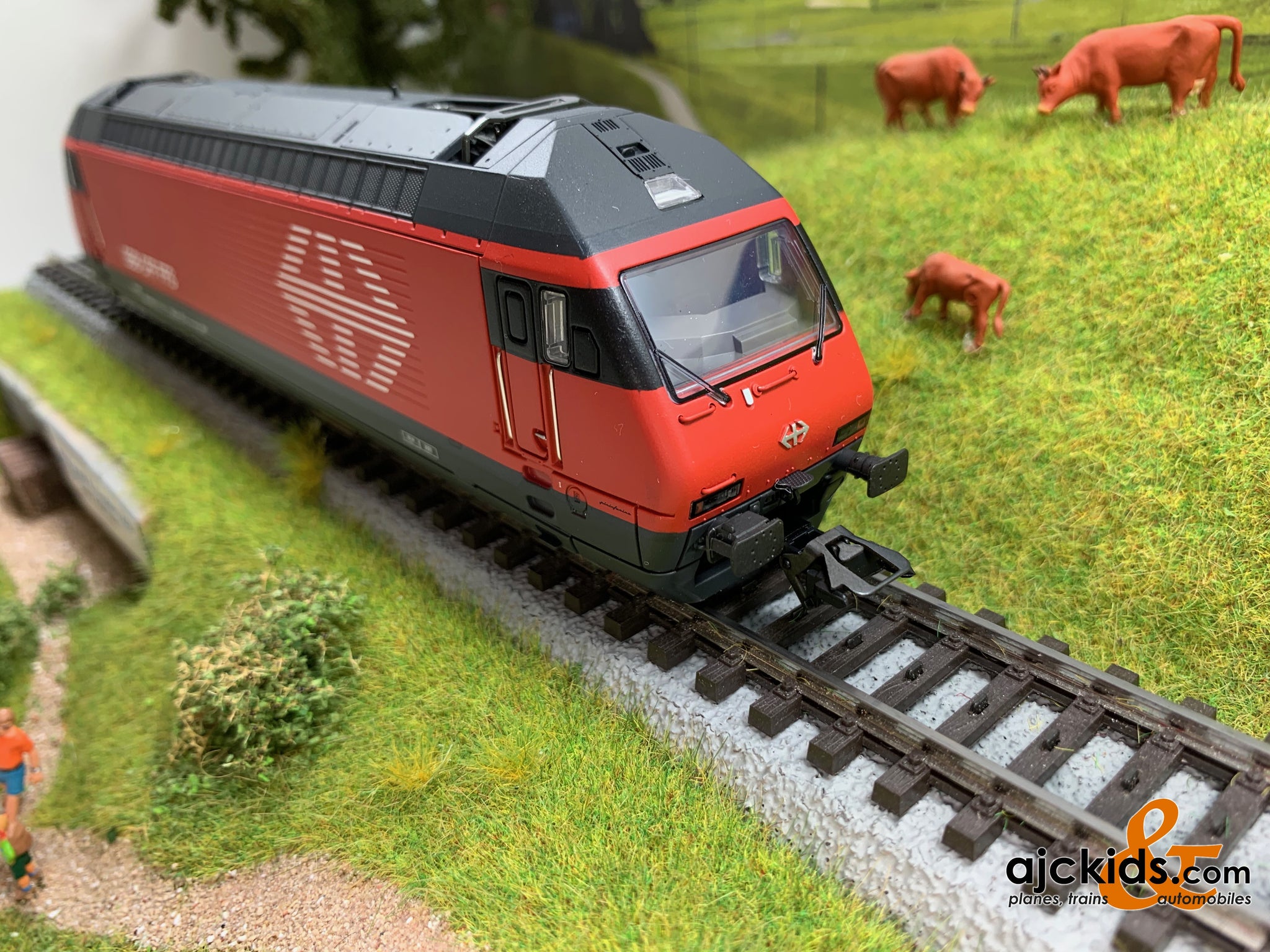 Trix 22969 - Class Re 460 Electric Locomotive – Ajckids