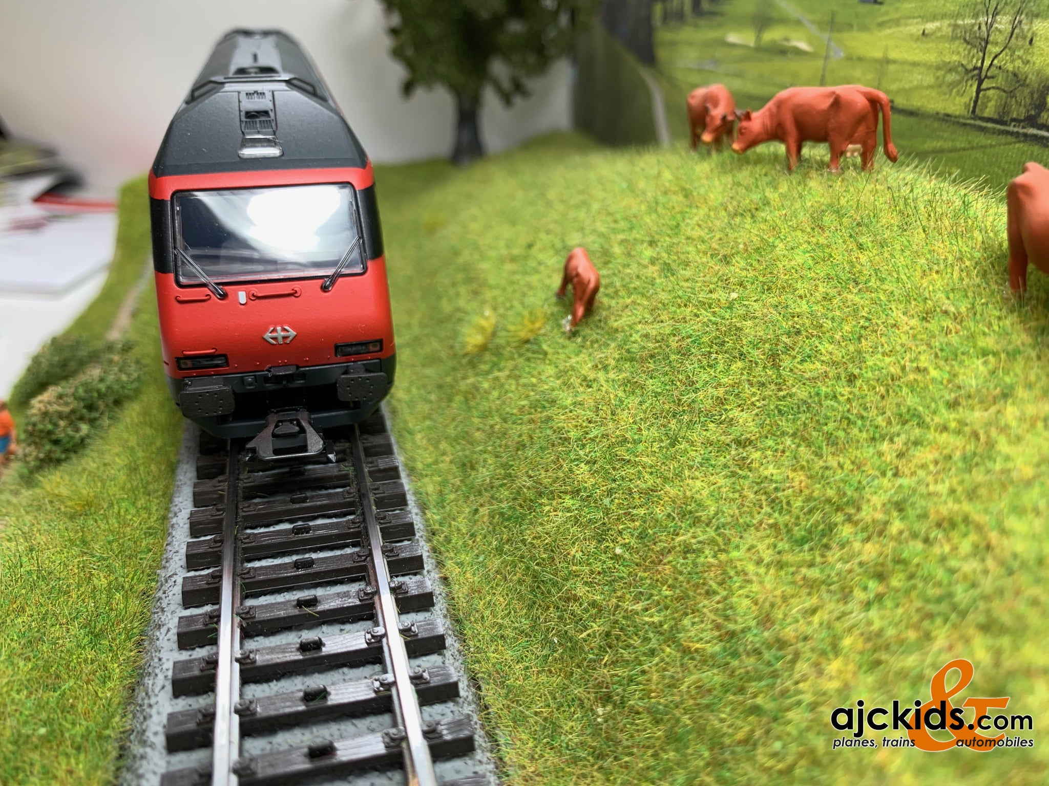 Trix 22969 - Class Re 460 Electric Locomotive – Ajckids