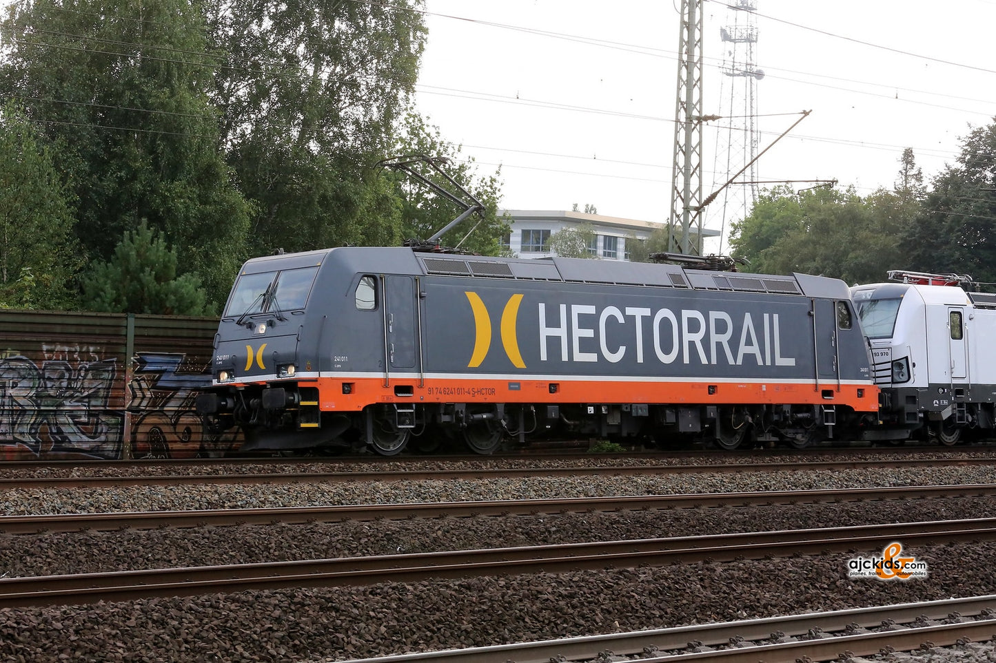 Marklin 36602 - Electric Locomotive BR 241 Hectorrail