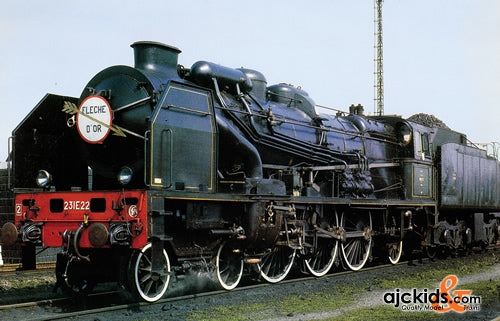 Roco 62305 Steam Locomotive S.231 E black green