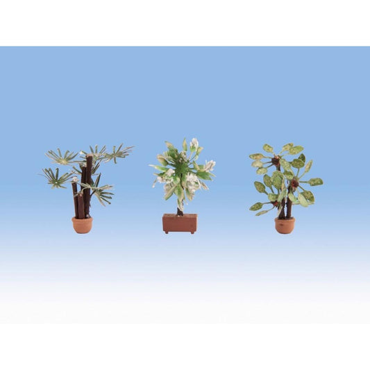 Noch 14023 - Mediterrane Plants (3 pieces)