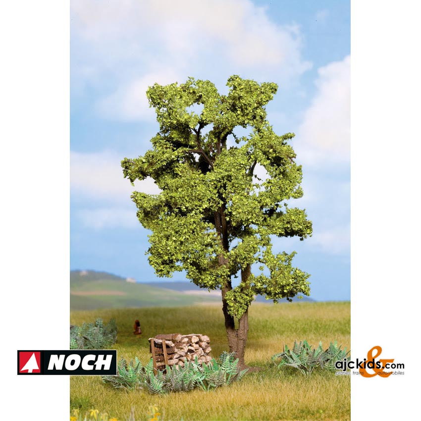 Noch 21660 - Trees Acacia muli-trunk